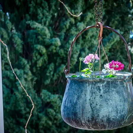 Frano * Ντουμπρόβνικ